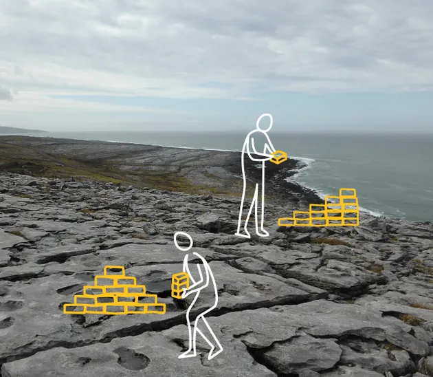 Accompagnements à la transformation